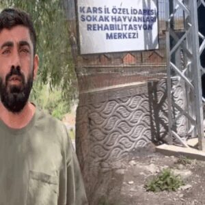 bu mu merhamet barinakta katliam PDxSQtdl