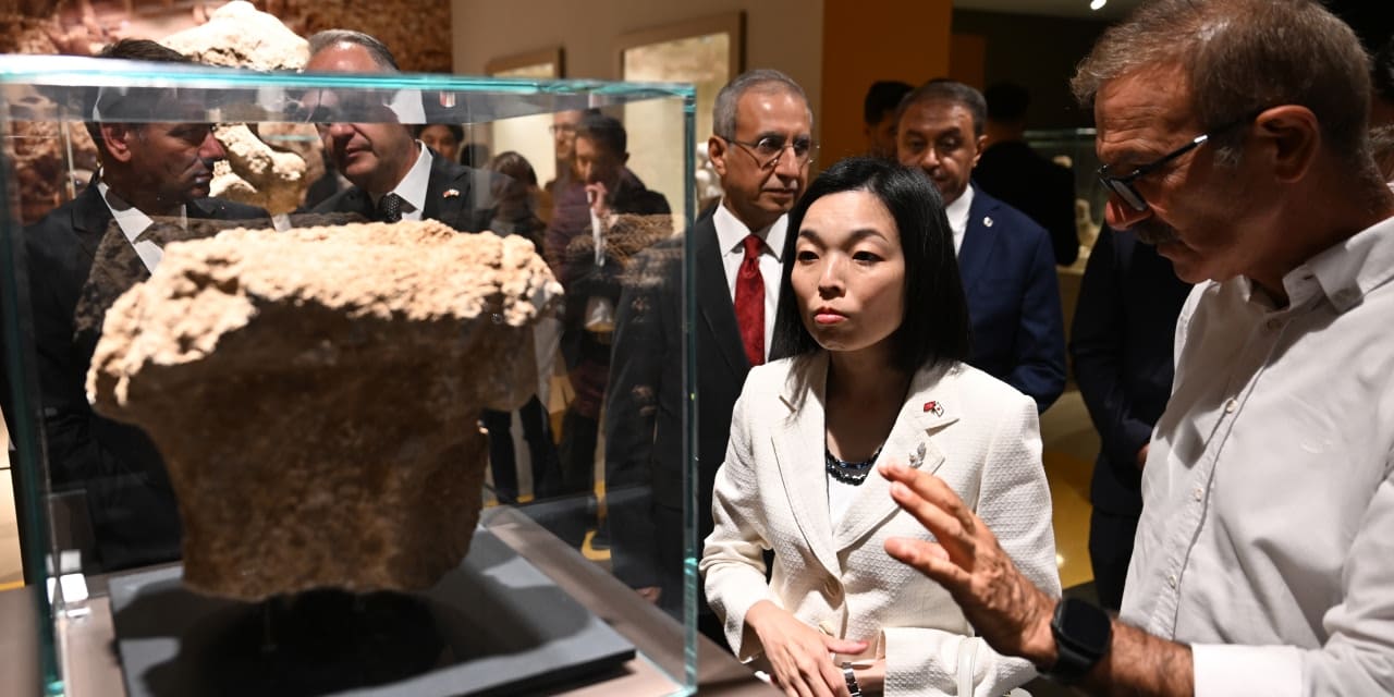 bakandan sanliurfaya japon prenses mujdesi GxBFESqn