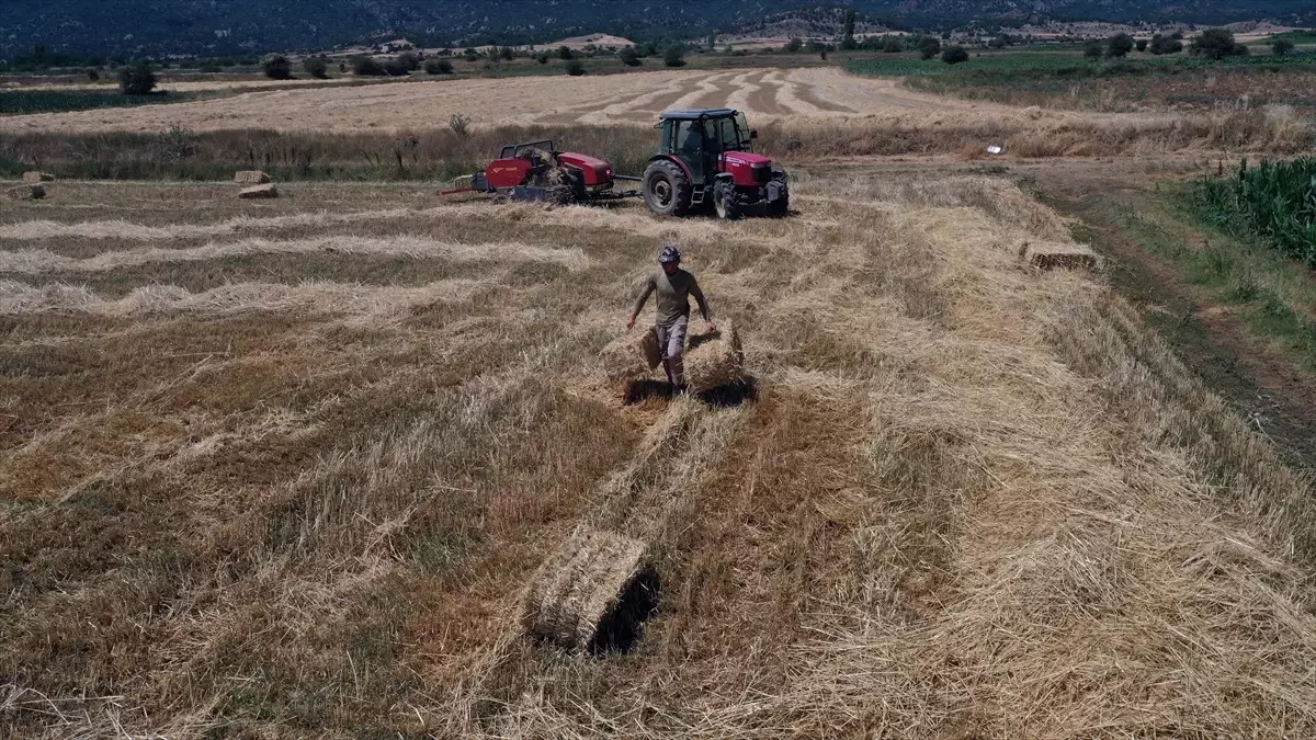 ciftciligi secen universite mezunu cift YJea6sa2