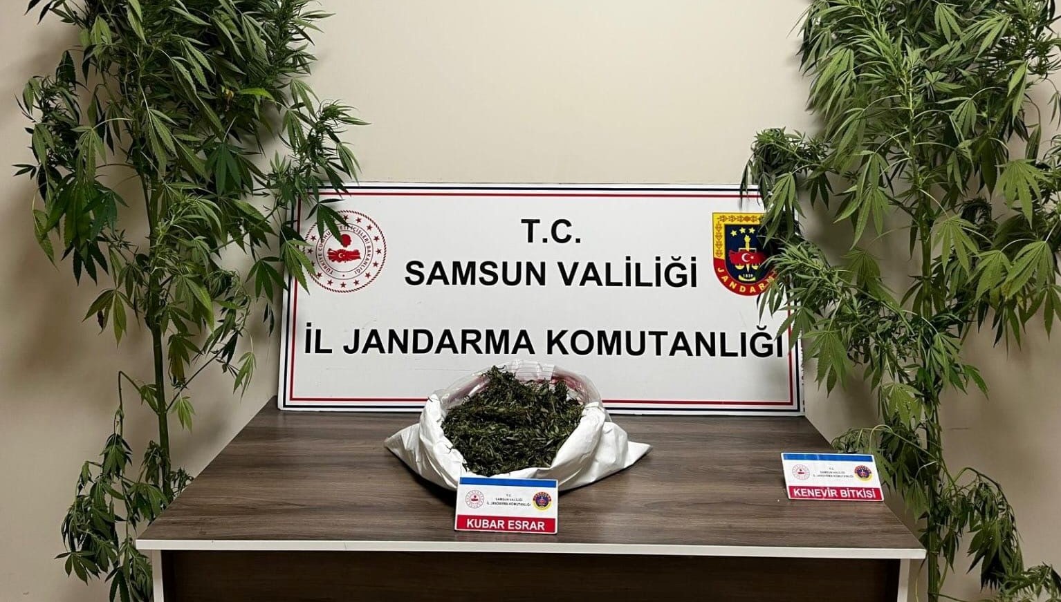 jandarma 3 kilo 237 gram esrar ele gecirdi N6csG63a