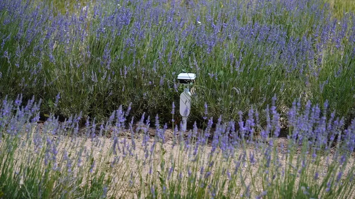 turkiyede ilk leo uydu iletisim yetkilendirmesi VhraDGRf