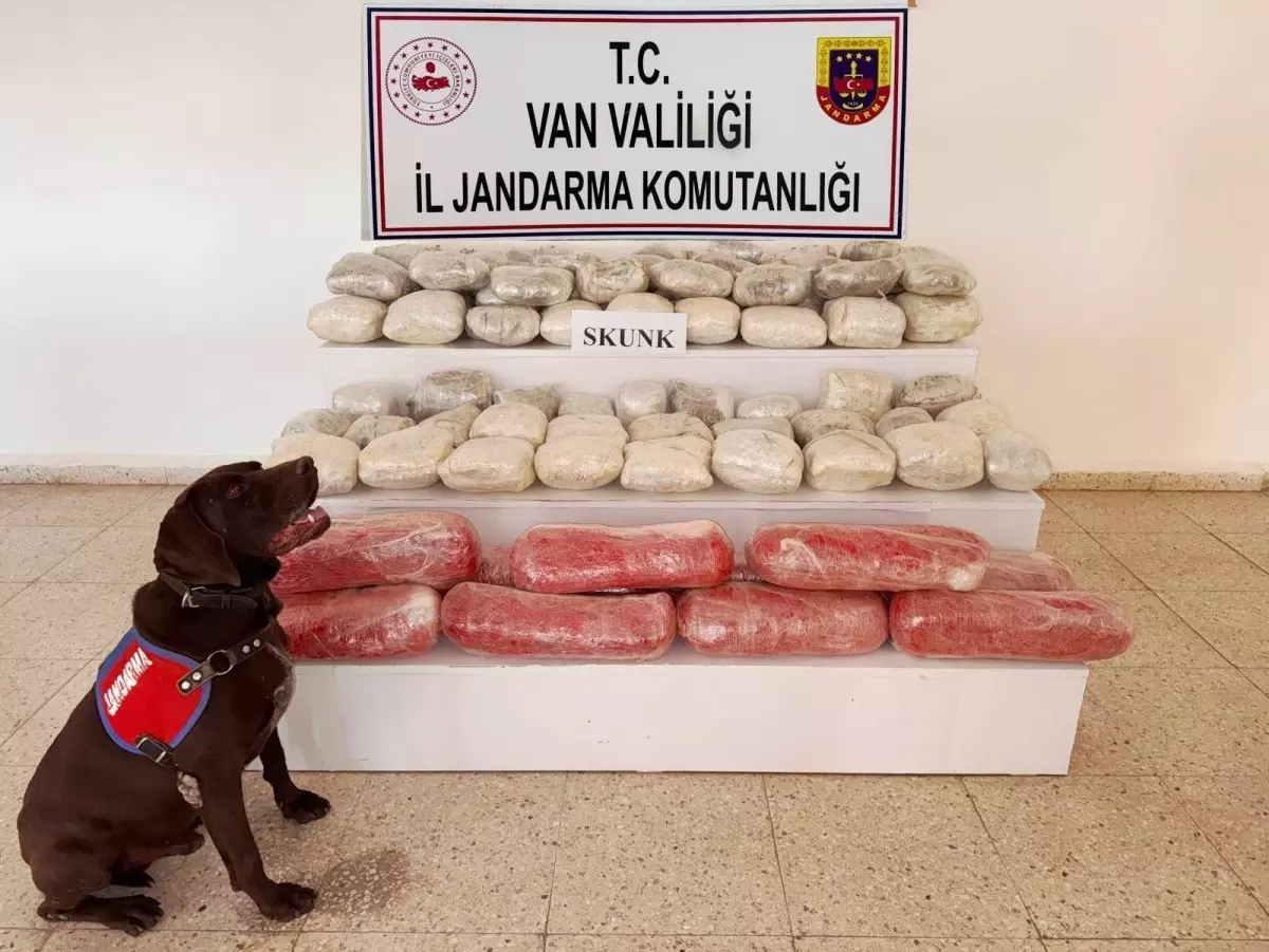 baskalede 61 kilo skunk ele gecirildi vYARnMQi