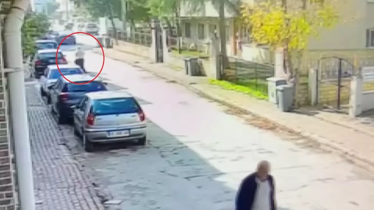 inegolde canta hirsizligi MVJqEvRh.jpg