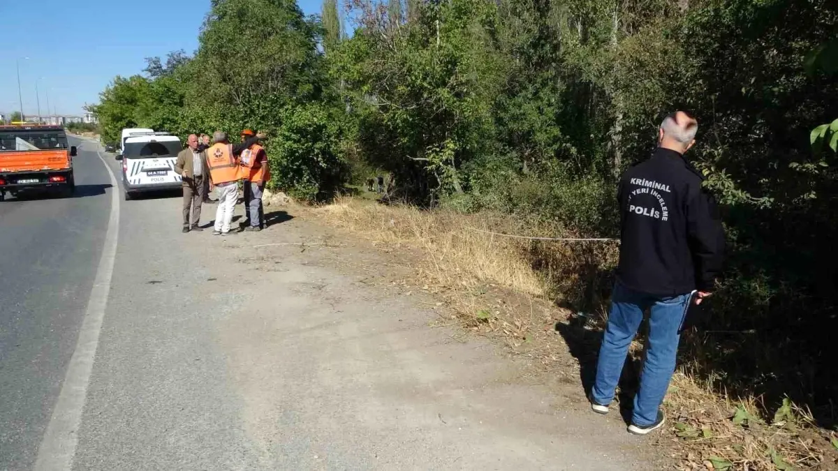 malatyada otomobil kayisi bahcesine uctu 1 yarali tLziasrj.jpg