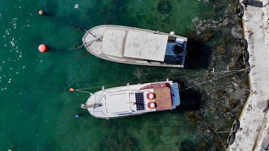 musilaj olusumu gorulen illerdeki balikcilara ilave odeme 7D2xIKSZ.jpg