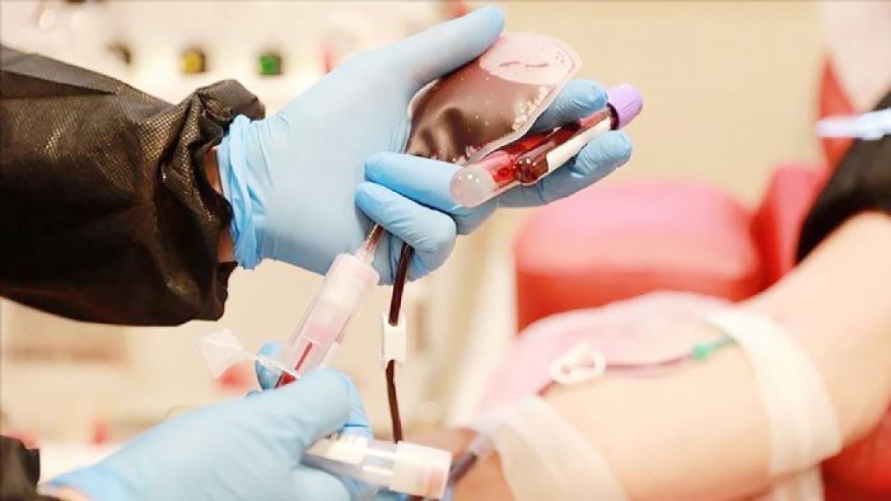 bir bagis bir hayat kok hucre bagisiyla hayat yeniden basliyor gpF6dQf6.jpg